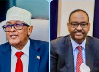Puntland’s Deni Blocks Cirro’s Plan for Sanaag Troop Deployment