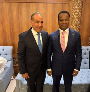 Egypt, Somalia Foreign Ministers Meet in Riyadh to Strengthen Bilateral Ties