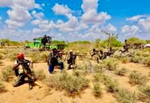 Somali Government Forces and Local Militias Conduct Operations in Eastern Hiiraan