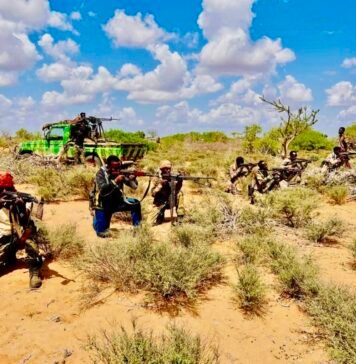 Somali Government Forces and Local Militias Conduct Operations in Eastern Hiiraan