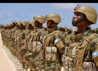 Somalia to Deploy Largest-Ever Troop Contingent to Northeast Region