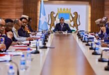 Somalia’s Cabinet Cancels All Security and Defense Agreements With UAE