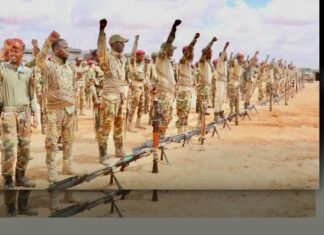 Somali Army Says It Repelled al-Shabaab Attack in Central Region