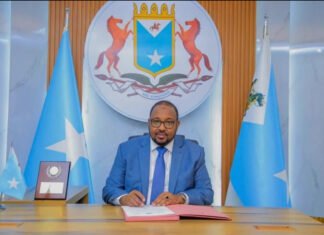 China Backs Formation of Northeast State in Somalia