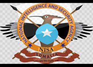 Somali Intelligence Operations Killed 524 Al-Shabab Fighters in Past Year