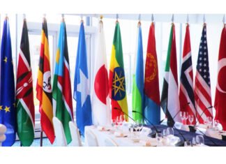 International Community Urges Somali Opposition to Join Government-Announced National Dialogue