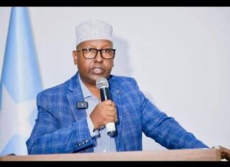 Somalia Says Past UAE Support Ended Up in Hands of Armed Groups