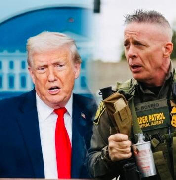 Greg Bovino Ousted as Border Patrol “Commander at Large”