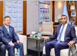 Somalia PM Meets Chinese Ambassador to Boost Ties