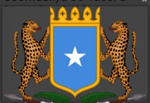 Somalia Sends Condolences to Pakistan After Deadly Mosque Blast in Islamabad