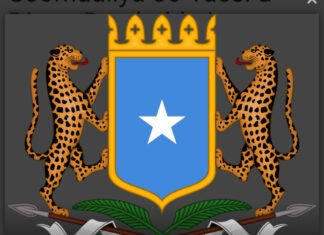 Somalia Sends Condolences to Pakistan After Deadly Mosque Blast in Islamabad