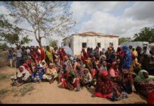 Recurring Droughts Deepen Humanitarian Crisis in Somalia