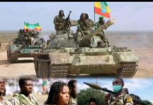 Analysis: Fears of Multi-Front Conflict Grow in Northern Ethiopia
