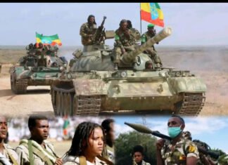 Analysis: Fears of Multi-Front Conflict Grow in Northern Ethiopia