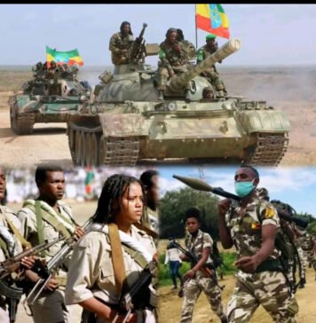 Analysis: Fears of Multi-Front Conflict Grow in Northern Ethiopia