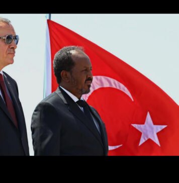 Somalia Pushes Back on Claims Over Türkiye Deals