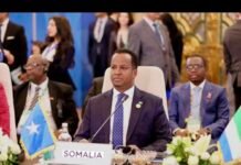 Somalia Condemns Deadly Attacks in Northwestern Nigeria