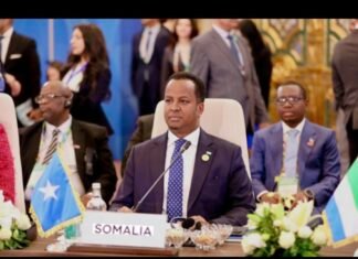 Somalia Condemns Deadly Attacks in Northwestern Nigeria