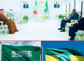 Diplomatic Flurry Raises Questions Over Rising Tensions in the Horn of Africa