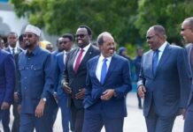Somalia Government Seeks Exclusive Authority Over International Loan Agreements