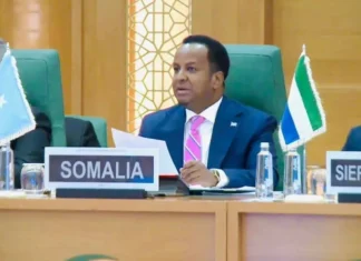 Foreign Minister Abdi Ali Urges Stronger Coordination as Drought Strains Communities