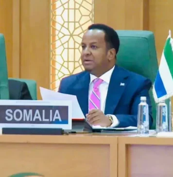 Foreign Minister Abdi Ali Urges Stronger Coordination as Drought Strains Communities