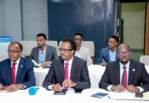 Somalia, U.S. Agree To Form Joint Panels to Advance Energy and Trade Cooperation