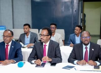 Somalia, U.S. Agree To Form Joint Panels to Advance Energy and Trade Cooperation