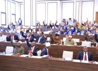 Somalia Parliament Debates Controversial Constitution