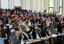 Federal Parliament of Somalia Approves Constitutional Amendments
