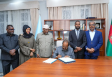 Somali president says new constitution not aimed at extending his rule