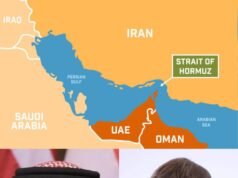 Gulf Security Split: Bahrain Military Plan, France Diplomatic Route