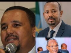 Oromo politician links Somalia shift to rival powers