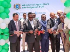 Somalia’s Deputy Prime Minister Launches Agriculture Coordination Platform in Mogadishu