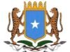 Somalia Warns Former Presidential Spokespersons Over “Disinformation Campaign”