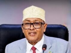 Somaliland’s Cirro Returns from Diplomatic Tour Without Breakthrough