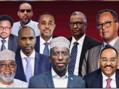 Opposition Under Scrutiny: Constructive Force or Destabilizing Actor?