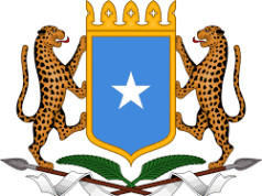 Somalia denies reports of expelling UAE ambassador