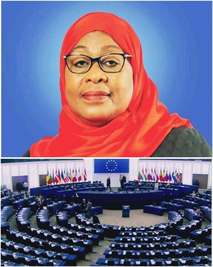 Tanzania rejects foreign probe into 2025 election allegations