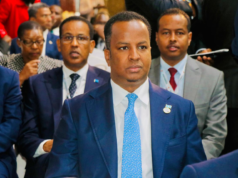 Somalia represents at high-level Africa-France partnership talks