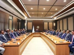 Somalia’s Halane talks test fragile consensus as electoral clock ticks down