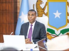 PM Hamza: Somalia’s new constitution is in force, but full rollout will take time