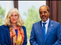 Somali Opposition Figure Criticizes Turkey Envoy Meeting After Failed Talks