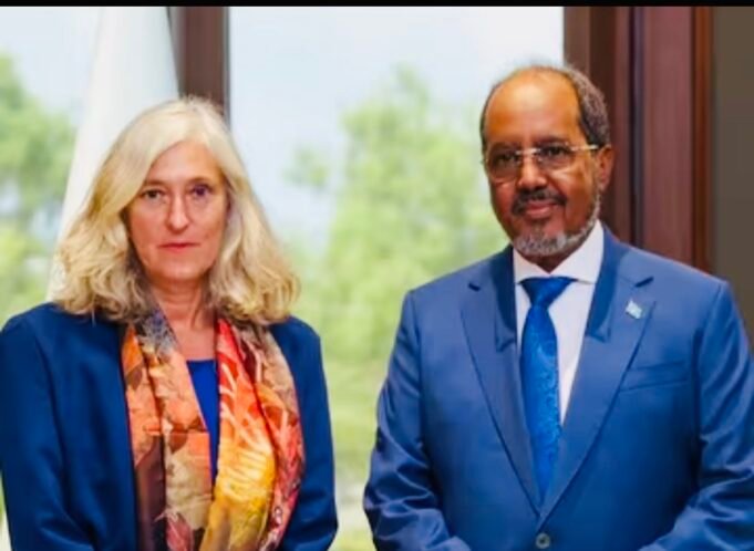 Somali Opposition Figure Criticizes Turkey Envoy Meeting After Failed Talks