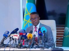 Ethiopia accuses Egypt of undermining Red Sea access efforts