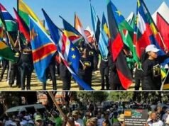 African Envoys Boycott South Africa’s Africa Day Over Xenophobia