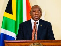 South Africa Bans Private Immigration Checks, Reaffirms State Authority