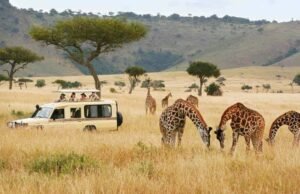 Kenya Parks Expands Collaboration Opportunities for Tourism Partners