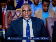 Mohamed Dubo: Director, Somalia Investment Promotion Office (SOMINVEST)