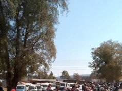 Malawian professionals exit South Africa in growing skills drain